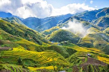 Miền Bắc đẩy mạnh ứng dụng thương mại điện tử trong tiêu thụ nông sản mùa vụ